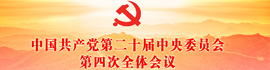 中国共产党第二十届中央委员会第四次全体会议