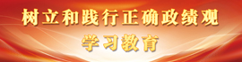 树立和践行正确政绩观学习教育